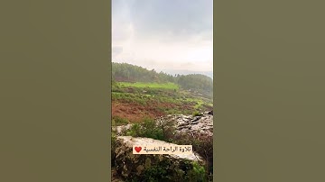 #تلاوة_رائعة #تلاوة_خاشعة #تلاوة_هادئة #تجويد #سعد_الغامدي #الغامدي #تلاوات #الجزائر #مصر #السعودية