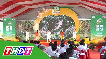 Khai mạc Lễ hội quýt hồng Lai Vung lần 1 | THDT
