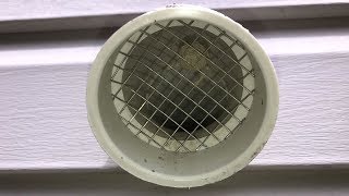 Wasp Nest Inside of Furnace Vent Screen
