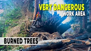 66. Burnt Forest | Hazards Everywhere by Bjarne Butler 11,063 views 8 days ago 17 minutes