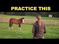 HOW TO CATCH A HORSE IN A PASTURE ( 🤗 TIPS)