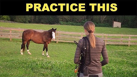 SAFELY GET A HORSE IN A PASTURE 🐴
