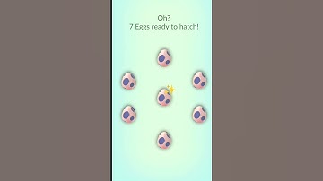 Hatching Pokémon Eggs For Shiny #shorts #hatch #rare #shiny #eggs #pokémon #gonchi