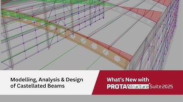 Modelling, Analysis and Design of Castellated Beams with ProtaStructure 2025