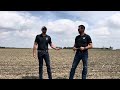 Foliar: Soybeans