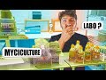 🍄 POURQUOI avoir un LABORATOIRE de MYCICULTURE [5,5 raisons]