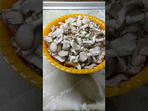 Маринованные грибочки.