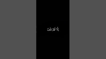 عبدالرحمن مسعد | سورة العنكبوت .