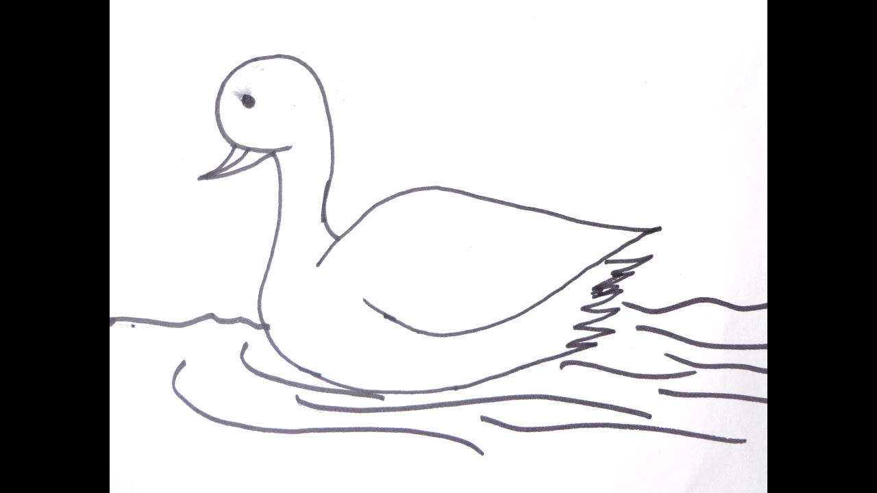 How to Draw a Simple Duck - YouTube