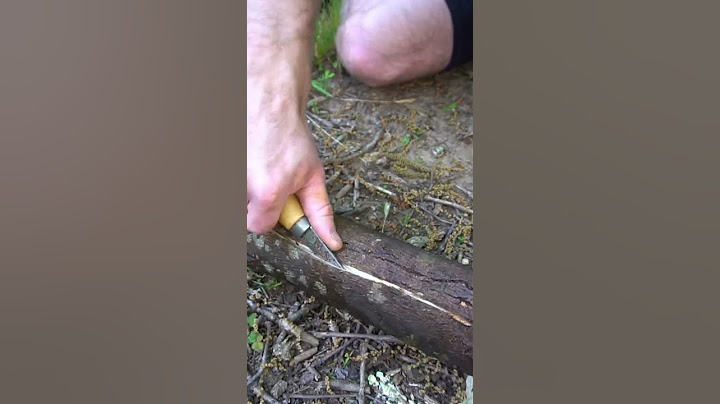 How to make a foraging basket in the woods! Bushcraft / survival skills