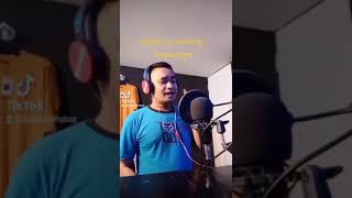 Download Lagu putik yang sedang berbunga MP3