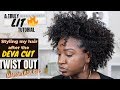 Twist Out + Melanin Hair Care Review | Natural Hair