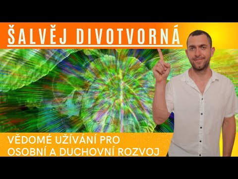 ŠALVĚJ DIVOTVORNÁ: Nepochopené psychedelikum s obrovskou mocí