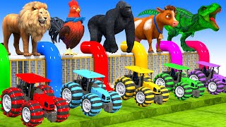 5 Giant Duck, Lion, chicken,T-Rex, dog, cat, cow, Sheep, Transfiguration funny animal 2023