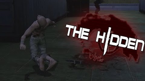 The Hidden Source: Funny Moments #1