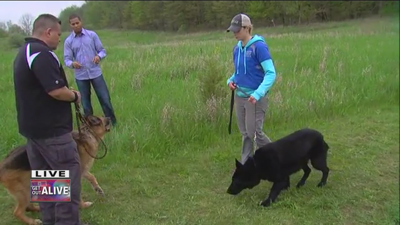 Get out alive: Surviving a dog attack - YouTube