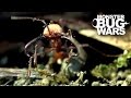 Epic Ant Battles #1 | MONSTER BUG WARS