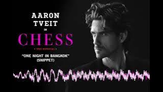 Aaron Tveit Sings 'One Night in Bangkok' (Snippet) | CHESS on Broadway