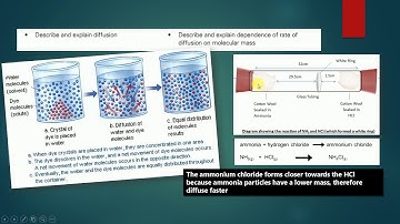 Diffusion| Chemistry| Biology| IGCSE| GCSE| AQA| O level| Cambridge Checkpoint