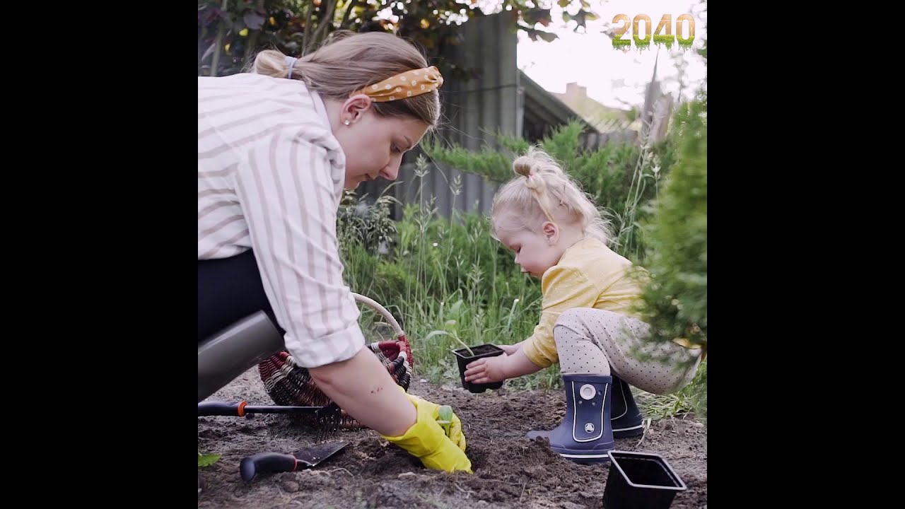 2040 Collective Impact