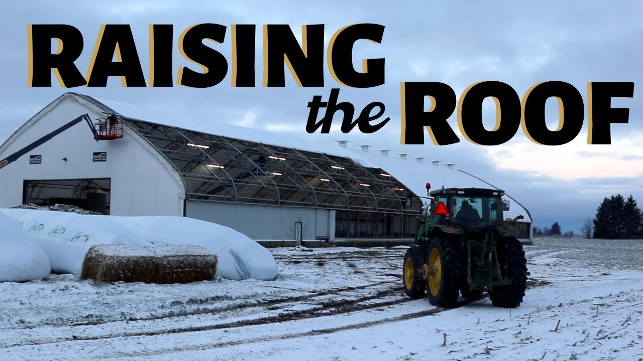 So thankful. (RAISING THE SHEEP BARN ROOF): Vlog 185 So thankful. (RAISING THE SHEEP BARN ROOF): Vlog 185