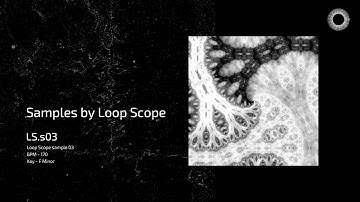 Samples by Loop Scope - LS.s03