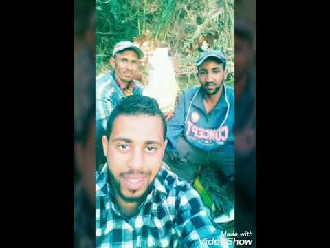 اغنية عادل العميرى عين وصابت روعه