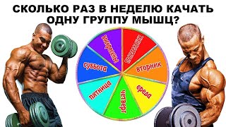 Тренировка Мышцы 1 раз в Неделю 2 или 3 Андрей Замятин и Стефан Диас
