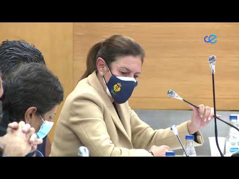 Deu recuerda a Verdejo que juró guardar las leyes, respetando los derechos y libertades