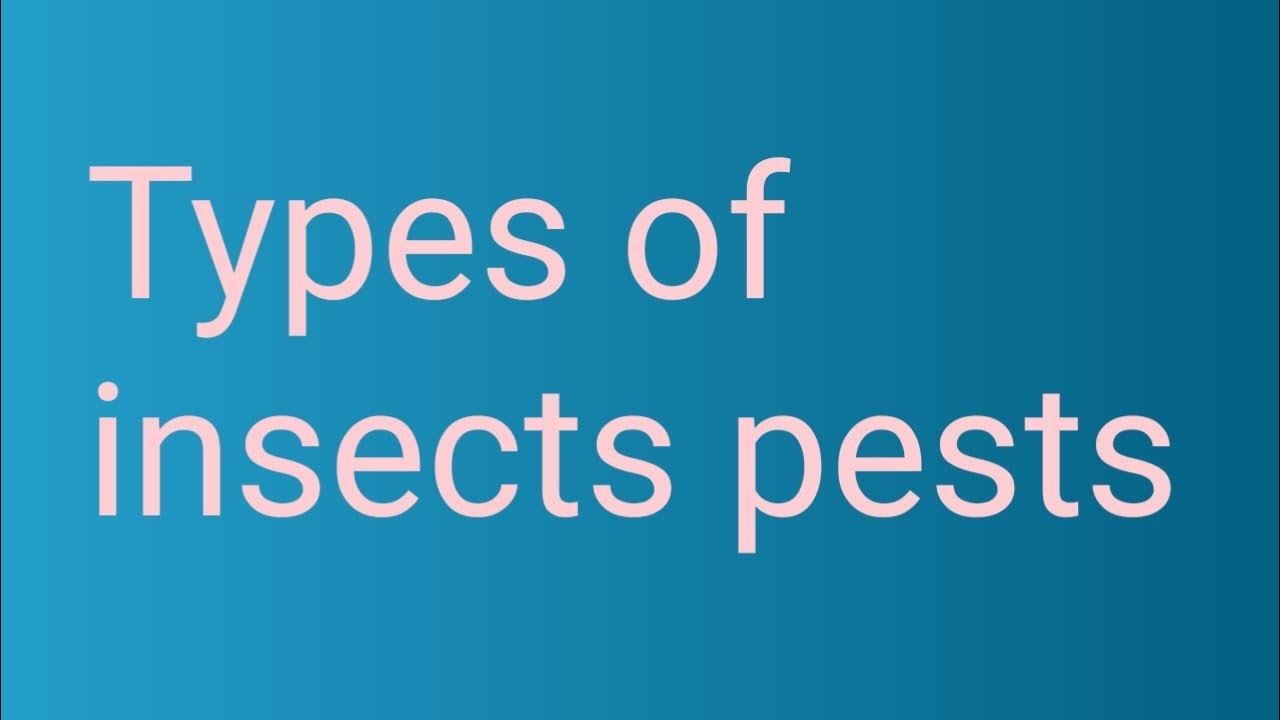 types of insect pests with diagram and definition, category YouTube
