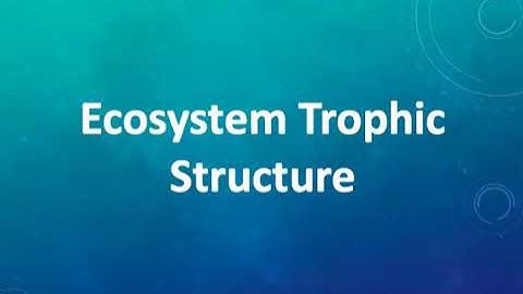 Trophic Structure UNEDITED