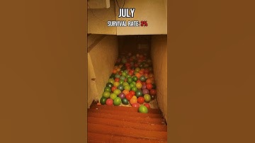 Your Month = Your Liminal Space