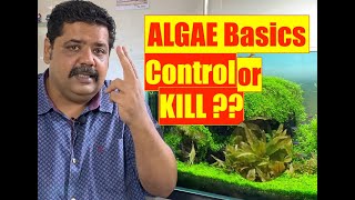 How to Control Aquarium Algae | Mayur Dev Aquascaper | Nature Aquarium 4K