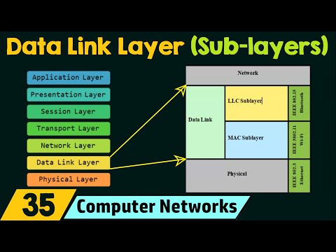 Sub-layers of the Data Link Layer