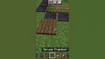 How to build rabbit trap tutorial (world smallest violen) #shorts