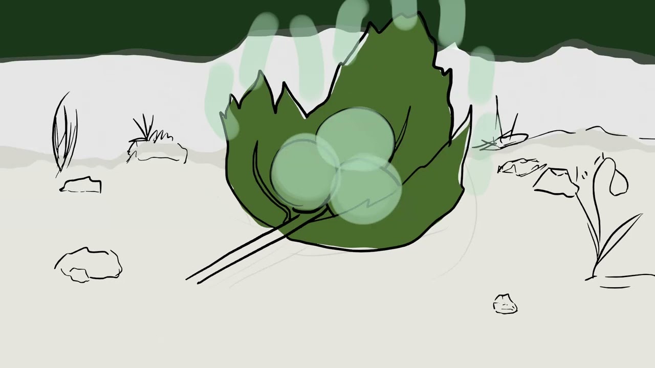 Tango Sprite animation test (Dota 2 Item)