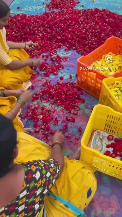 hoovu-fresh-our-team-packing-the-finest-quality-flowers-for-your