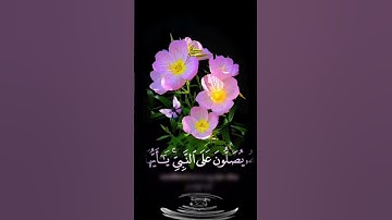 صباح الخير 🌸 اجمل حالات واتس اب مقاطع قصيره🌸 قران كريم ان الله وملائكته يصلون على النبي🌸 بدون حقوق