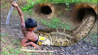 easy snake trap Giant python - #snaketrap