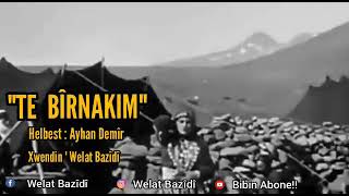 Ayhan Demir- Ez Te Bîrnakim