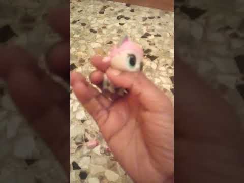 Unboxing glitter Lol pet hops kit tea