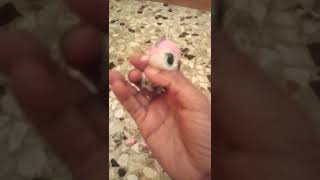 Unboxing Glitter Lol Pet Hops Kit Tea