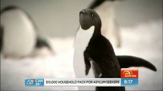 Antarctica David Koch Live From The South Pole Vintage Sunrise