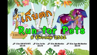 งานวิ่ง Run for Pets #2 ปี 2019 ณ สวนปาล์มฟาร์มนก จ. ฉะเชิงเทรา