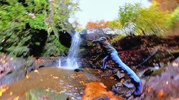 Exploring Craigie Linn Waterfall with the Dogs | Autumn Adventure (Shot on Insta360 X3)