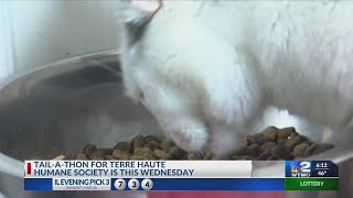 Tail-a-Thon event: Humane Society in need of donations