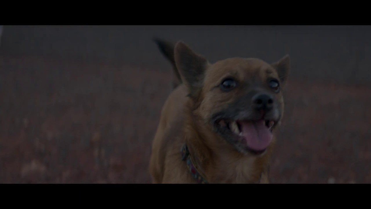 Interview with Scott Shorten - 2018 Local Hero Award winner