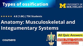 Coursera Anatomy specialization || ossification quiz answers anatomy