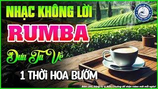 Nhạc Không Lời Buổi Sáng Đưa Ta Về Một Thời Hoa Bướm | Hòa Tấu Rumba Guitar | Nhạc Cafe Buổi Sáng