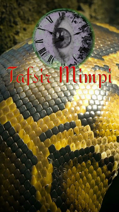 Arti Mimpi Melihat Ular Besar  | Simbol Perasaan dan Tantangan Hidup #artimimpi #tafsirmimpi #mimpi